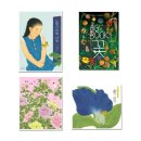 그림책 꽃 피었네 | [공구 오픈] 보림 꽃 그림책 🌸🌼🪻🌹