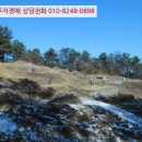 천주교청파동교회