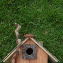 버드하우스 이미지