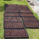 병설농장 | 담쟁이 치유농장 모종심기 후기, 여수 병설유치원 아이들 체험