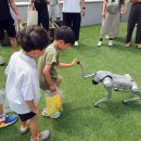 안산역사박물관 이미지