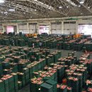 안동청과 이미지