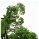 동춘당공원 이미지