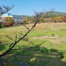 서남대학교 이미지