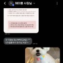 헤이몽 네이버블로그