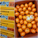 12월25일(토)메리크리스마스^^