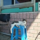 서귀주유소 이미지