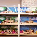 미니펫스토리 이미지