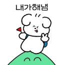 도전 악필탈출 이미지