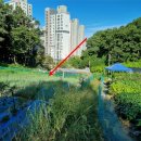 분당-238 이미지