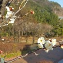 매화한의원 이미지