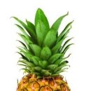파인애플 이미지