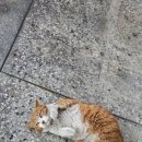 월풀크리닝 이미지