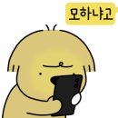 국수일번지 이미지