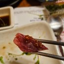 도일참치