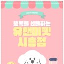 원시로4 | 원시펫샵 후기｜먼치킨과 함께한 특별한 입양 경험, 유앤미펫 원시점