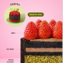 화이트365신당점 | [투썸] 두초생 미니 11cm 후기 🧆🎂| 예약, 가격, 영양정보