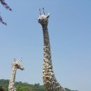 용도수목원 이미지