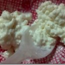 하얀버섯 이미지