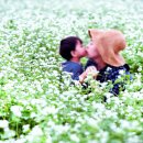 뽀빠이카센타 이미지