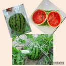 칠원어린이집