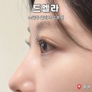 주식회사 제이케이 | 송내 속눈썹펌 잘하는 곳, 드엘라 노글루 클리닉 수분펌 후기