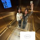 보람찬 광부의 하루 | 2일차, 앵무새에 쪼이고 캥거루에 삥뜯기는 보람찬 하루 | 알마카페,페더데일동물원,블루마운틴,시닉...