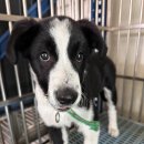 대향산길 이미지