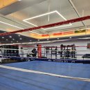 모던복싱 이미지