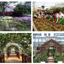 옹진군농업기술센터 이미지