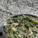 무릉도원 캠핑장 이미지