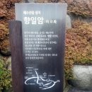 유심청