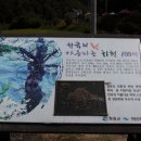 명성주산지민박 티스토리