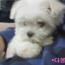 태봉농장2 이미지