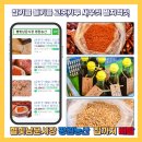 동네농산