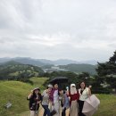 여백문학회 발족 40주년 자축하며 경북 고령 일원으로 문학기행을 다녀왔습니다. 이미지