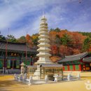 소나무카페(소나무관광농원) 이미지