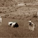 이리공업고등학교 이미지