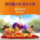 코스모스가든 | 대구 이월드 펌킨페스타 후기(+실시간 코스모스가든, 할로윈축제)