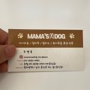 광주강아지분양 마마스미독 24시 광주봉선점 이미지