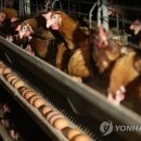 혜리농장 이미지