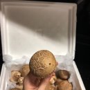 미석농장 이미지