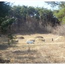 남원장묘나라 이미지