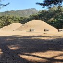 배동삼릉 이미지