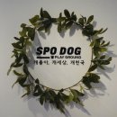 스포독