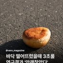 실로