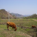 초지농장 이미지