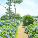 표선동서로 이미지