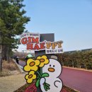 한우마당 | 2026년 김해한우축제 방문 (한우구이마당 후기)