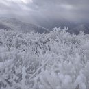 ❄️썸바디님의 혹한기 산행기.❄️ 이미지